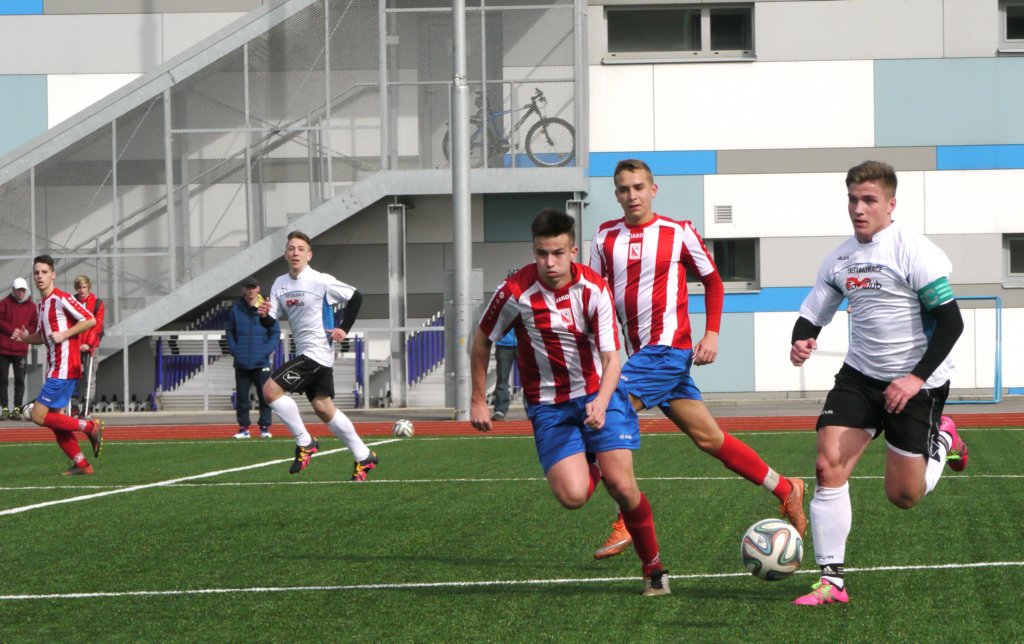 sdvcpfcvrchlabifkjaromer20170325fotovaclavmlejne_p1180771.jpg