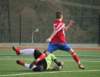 sdvcpfcvrchlabifkjaromer20170325fotovaclavmlejne_p1180781_small.jpg