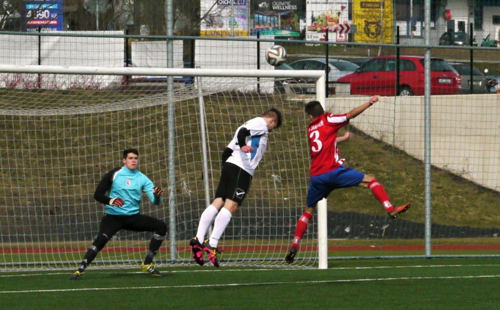 sdvcpfcvrchlabifkjaromer20170325fotovaclavmlejne_p1180785.jpg