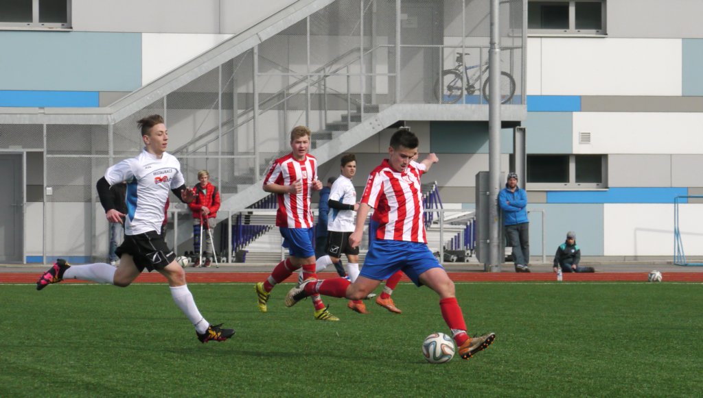 sdvcpfcvrchlabifkjaromer20170325fotovaclavmlejne_p1180816.jpg