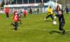 sp_fkj_fchk_20160424autorvaclavmlejnek_p1920665_small.jpg