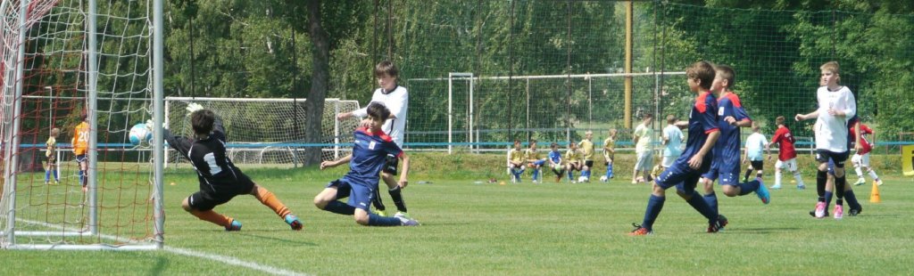 mz_fkj_novyhkvysoka_20150607_foto_vaclav_mlejnekp1700273.jpg