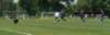 mz_fkj_novyhkvysoka_20150607_foto_vaclav_mlejnekp1700344_small.jpg