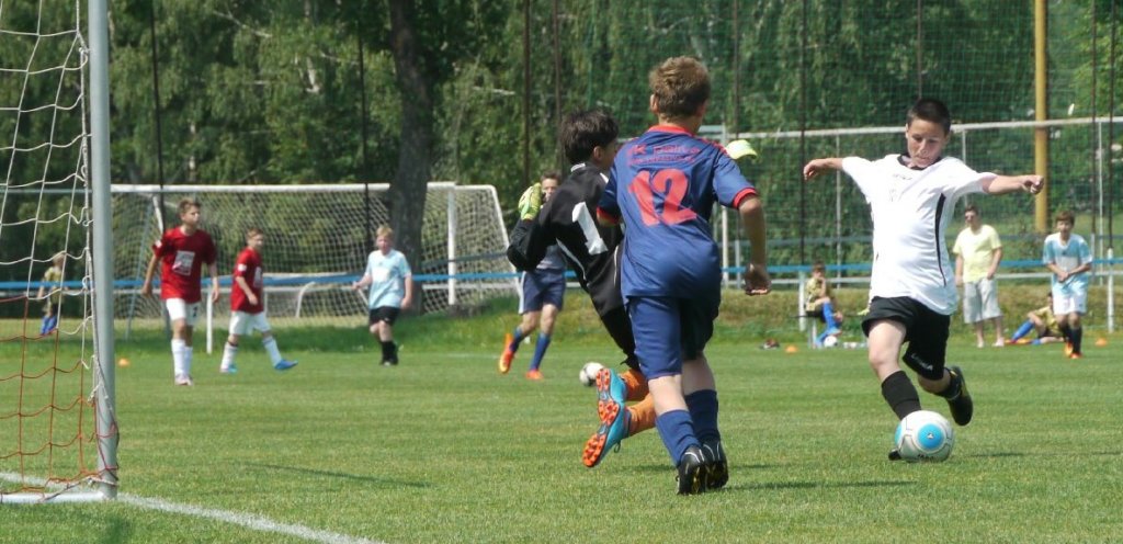 mz_fkj_novyhkvysoka_20150607_foto_vaclav_mlejnekp1700362.jpg