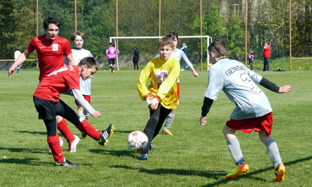 mz_fkj_turnajrtyne_souperrtyneupice_20140420_autor_vaclav_mlejnek_p1190550.jpg