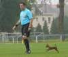 turnaj_mzasp_jaromer_20141012_foto_vaclav_mlejnekp1460270_small.jpg